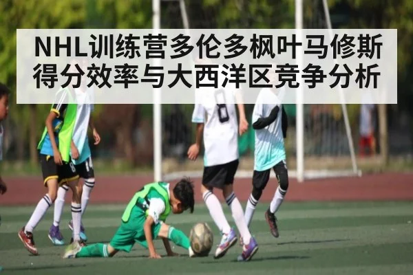 NHL训练营多伦多枫叶马修斯得分效率与大西洋区竞争分析