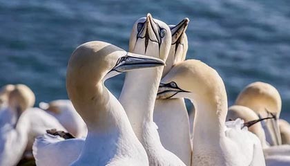 世界杯官网-WTA1000迈阿密 王欣瑜不敌麦克纳莉无缘32强